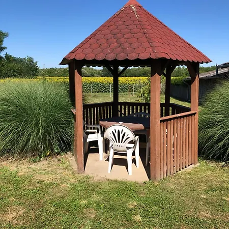 Netti Holiday home Marcali